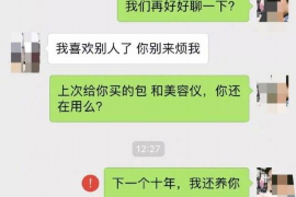 望花为什么选择专业追讨公司来处理您的债务纠纷？